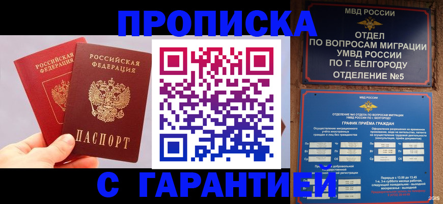 прописка 2025 в Новоалександровске